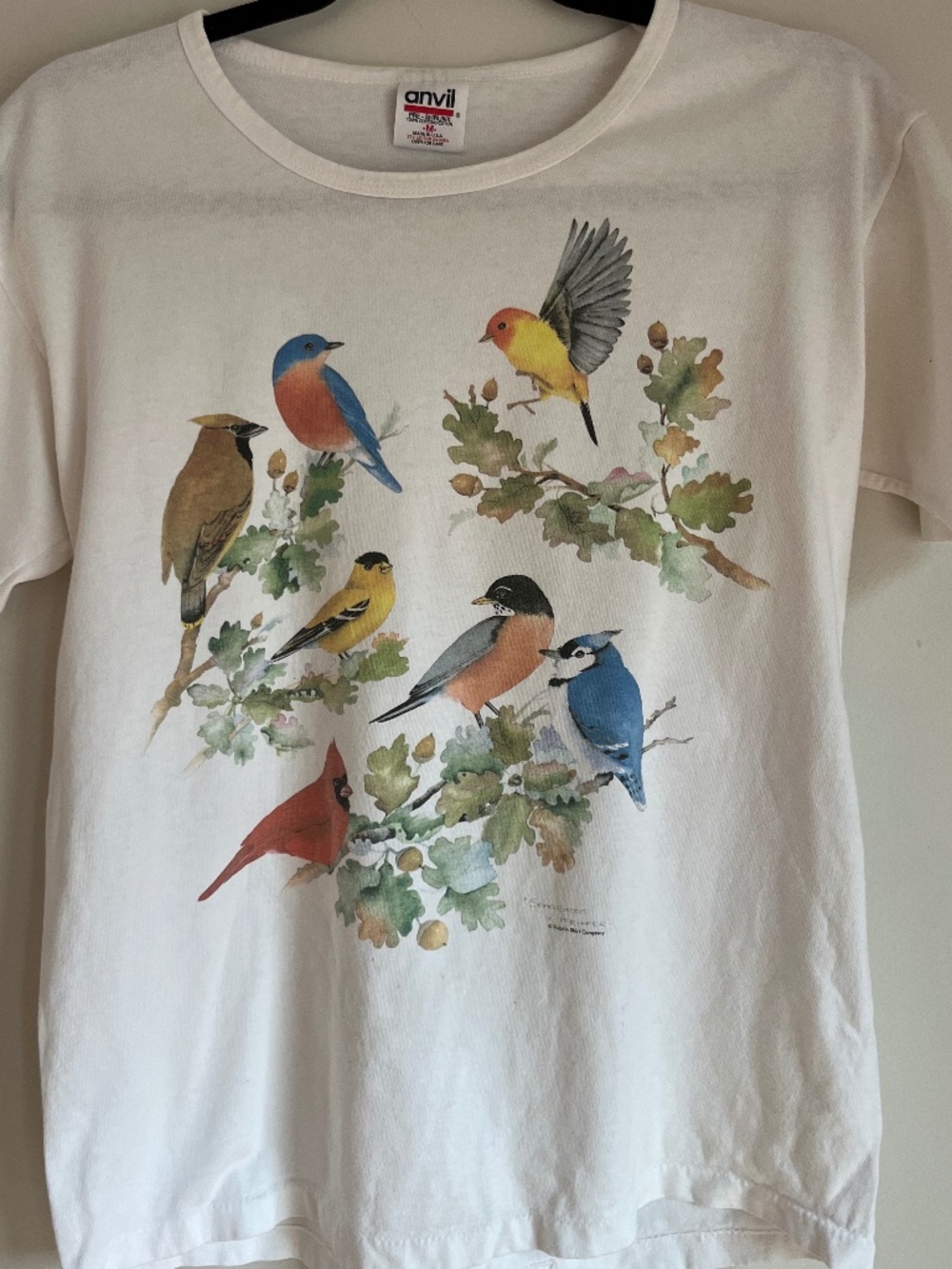 Vintage Song Bird 100% cotton T-shirt, Women's Size Medium, MADE in USA, EUC